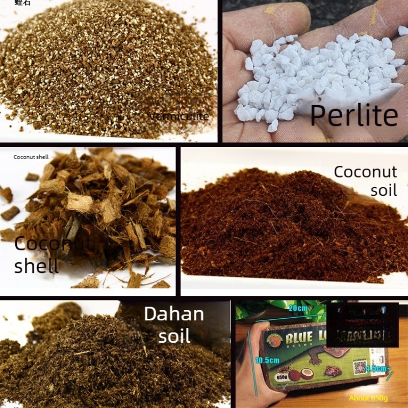 Sphagnum Moss Dry - طوب تربة جوز الهند كركيزة للزواحف،