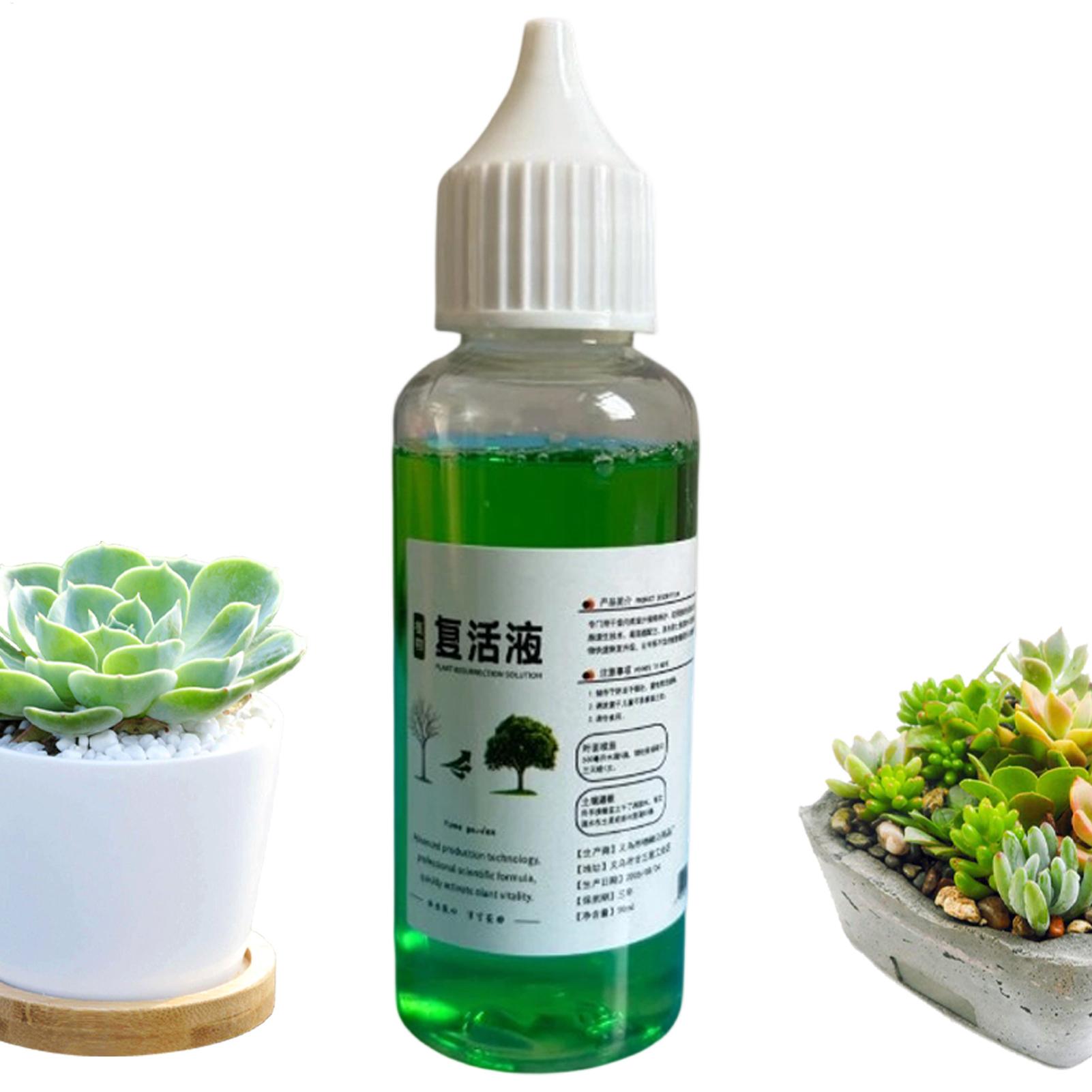 Root Stimulator Liquid - محفز للجذور للنباتات، محلول سائل لتعزيز
