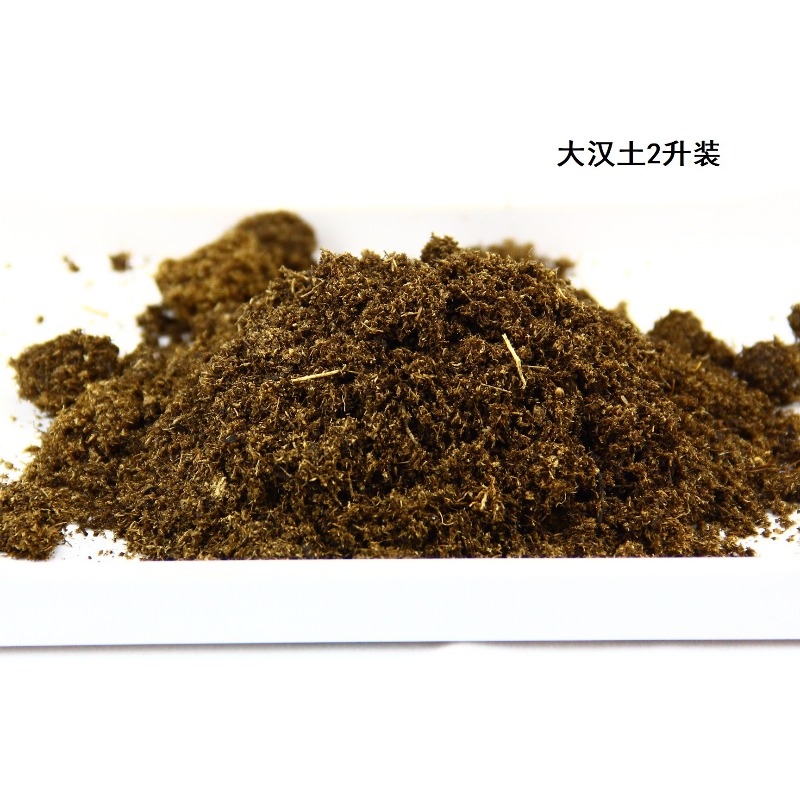 طوب تربة جوز الهند كركيزة للزو - مراجعة Sphagnum Moss Dry وسعره