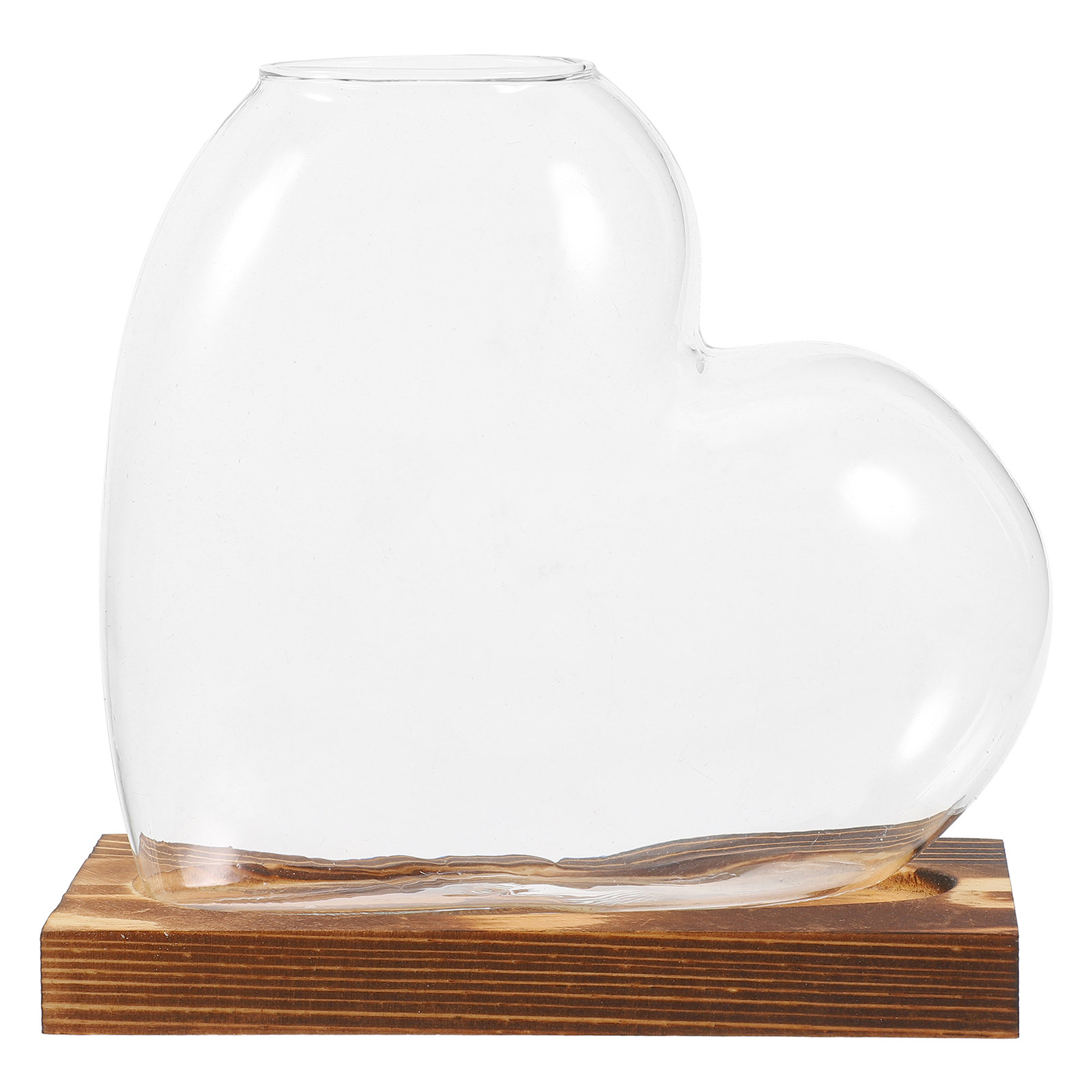 وعاء زجاجي شفاف للزراعة المائي - مراجعة Propagation Station Vase وسعره