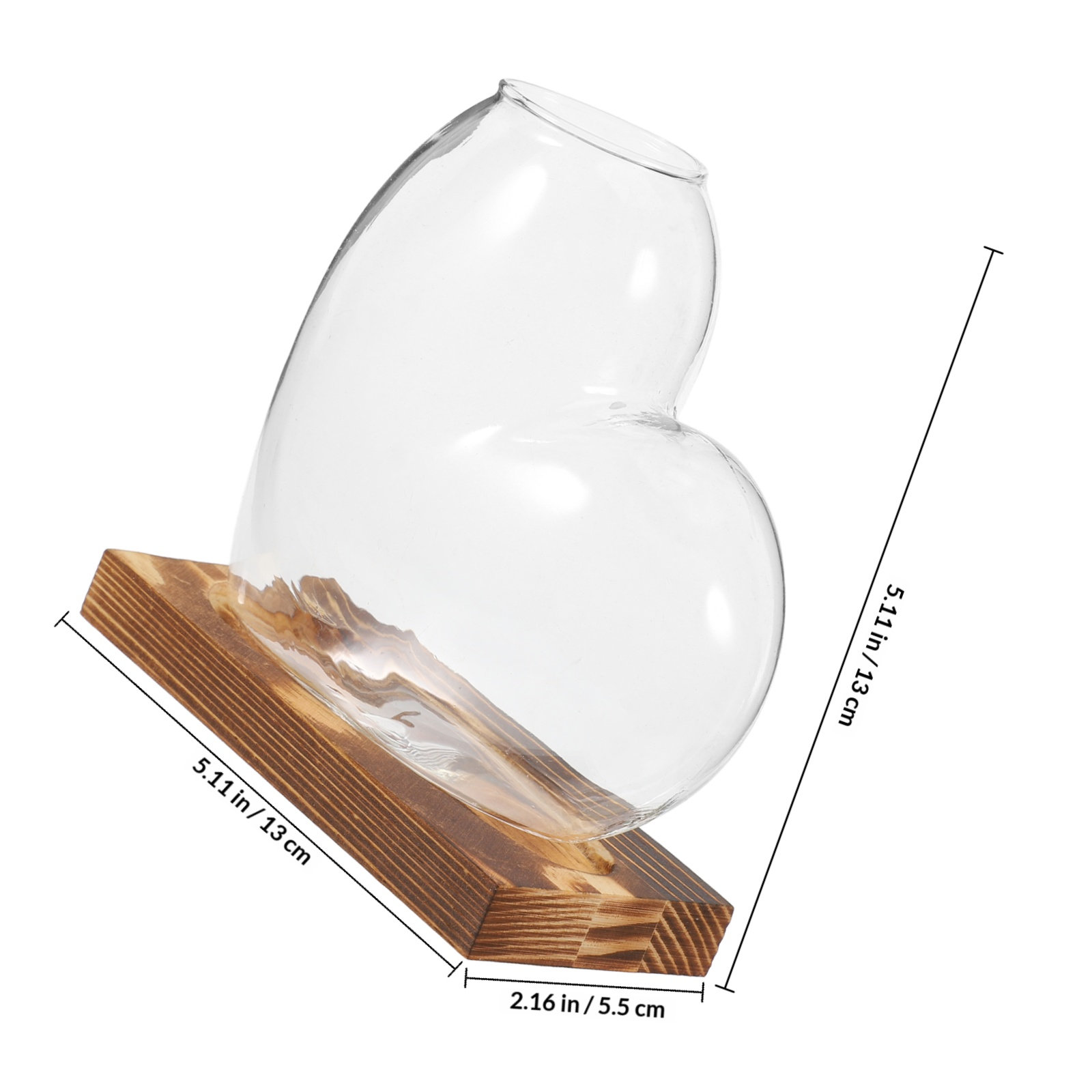 وعاء زجاجي شفاف للزراعة المائي - مراجعة Propagation Station Vase وسعره