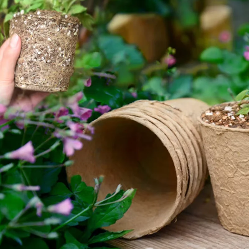 50 قطعة من أوعية الخث المستدير - مراجعة Peat Pellet Tray وسعره
