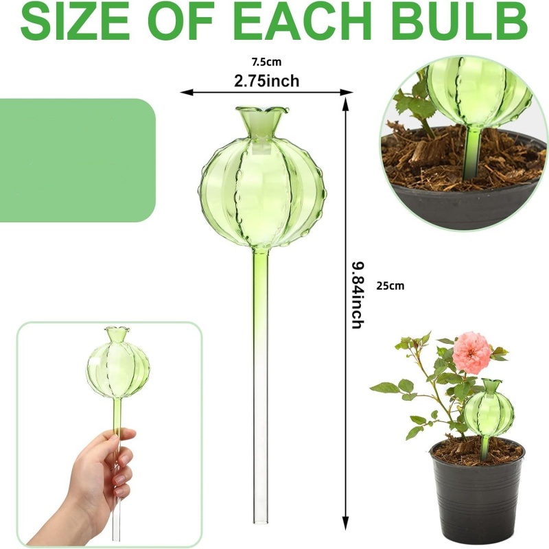 نظام ري آلي للنباتات على شكل م - مراجعة Self Watering Insert وسعره