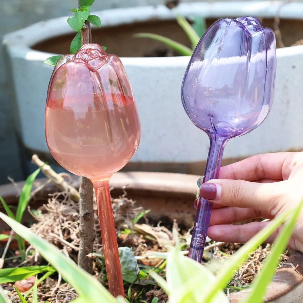 4/1 قطعة، جهاز ري أوتوماتيكي ب - مراجعة Self Watering Insert وسعره