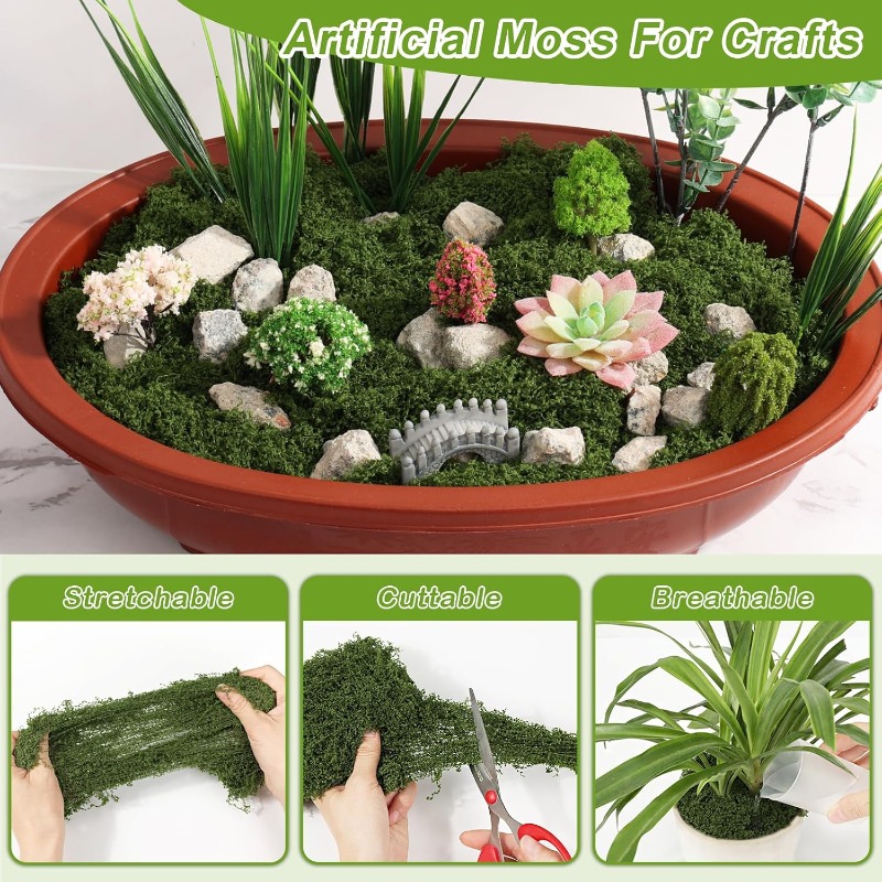 نباتات الطحالب الخضراء الاصطنا - مراجعة Sphagnum Moss Dry وسعره