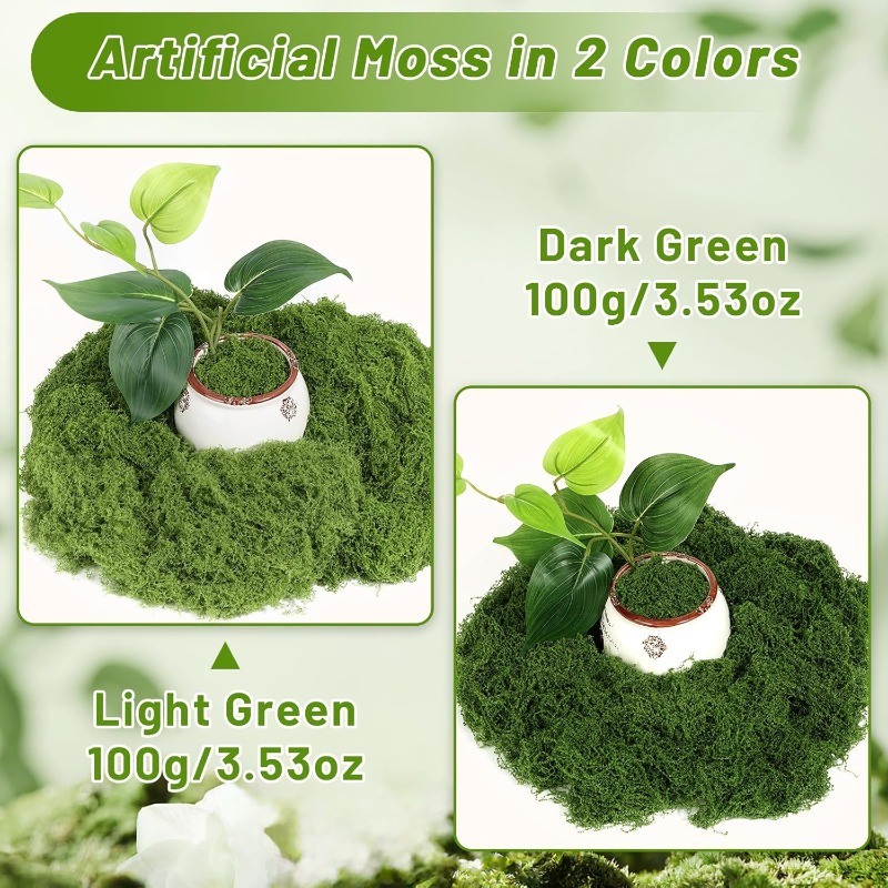نباتات الطحالب الخضراء الاصطنا - مراجعة Sphagnum Moss Dry وسعره